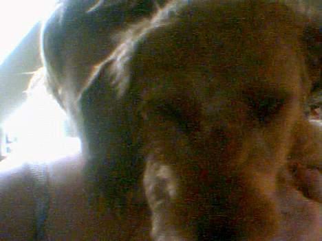 Gravhund Frida - Min mor og mig... Mor gemmer sig....  billede 2