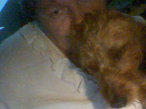 Gravhund Frida - mig og mor nusser.....  billede 4