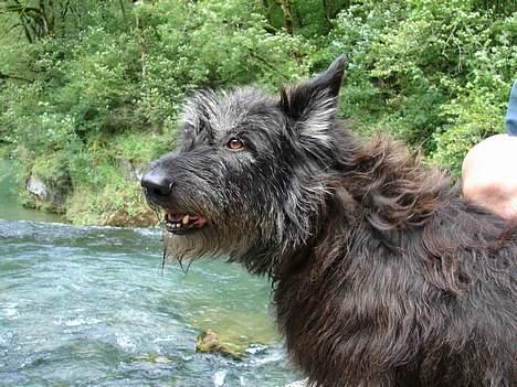 Picard Poupet de la Tour Philipp - Poupet ved floden la Loue i Frankrig. billede 2