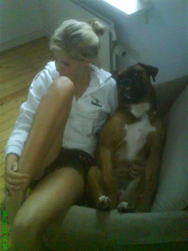 Boxer Freja - mig og freja(: vi hygge lige én morgen. billede 15