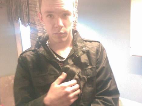 Cocker spaniel Coco billede 3