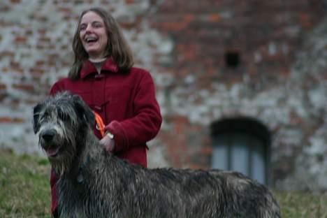 Irsk ulvehund Sirius - På Koldinghus med mor billede 6