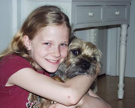 Border terrier Sofus billede 12