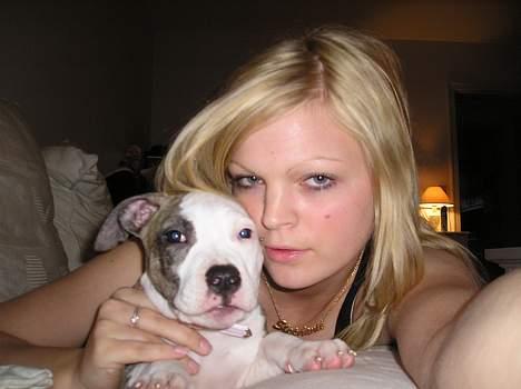 Amerikansk staffordshire terrier Molly billede 4