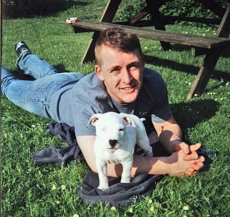 Amerikansk staffordshire terrier Bobby billede 7