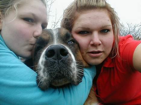 Sankt bernhardshund Bianca *R.I.P* - Mig, bianca og louise billede 3