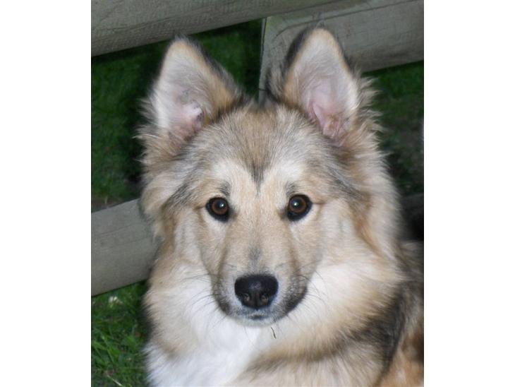 {{currentPhoto.altText}} billede {{currentPhoto.number}}