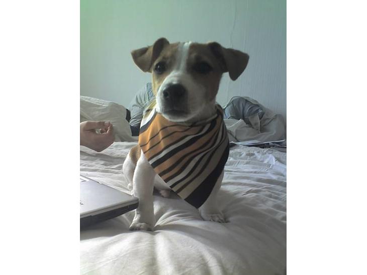 {{currentPhoto.altText}} billede {{currentPhoto.number}}