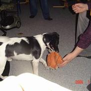 Blanding af racer Terry