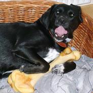 Blanding af racer Sif