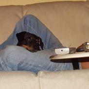 Blanding af racer king r.i.p Du fik fred :(