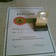 Labrador retriever Cato