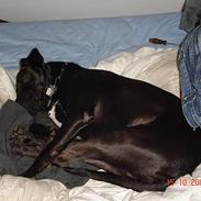 Blanding af racer Max