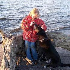 Blanding af racer Balou -aflivet(næsten 16)