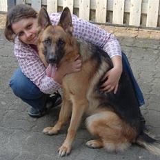 Schæferhund Smed´s Evita/ Liva*Solgt*