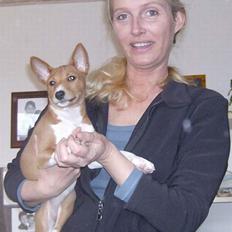 Basenji Asta