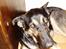 Blanding af racer Bonnie R.I.P 18/9-07