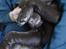 Labrador retriever Luka tidl. hund - Lad nu vær med at tage alle de billeder!