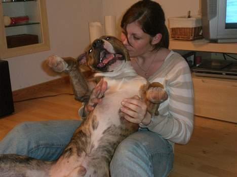 Blanding af racer Milo - Milo og Moar !!! billede 6