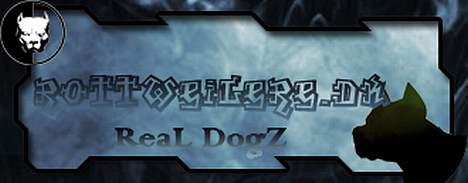 Rottweiler Kaiser RIP  - Rottweilere.dk Real Dogz billede 15