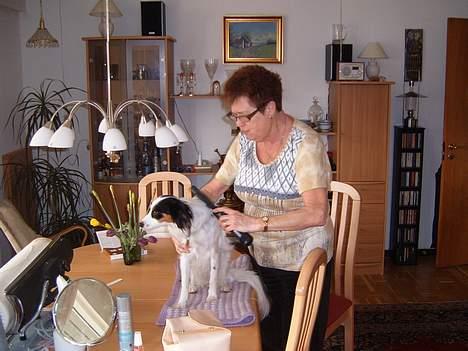 Blanding af racer Mollypigen - Så skal jeg være fin billede 12