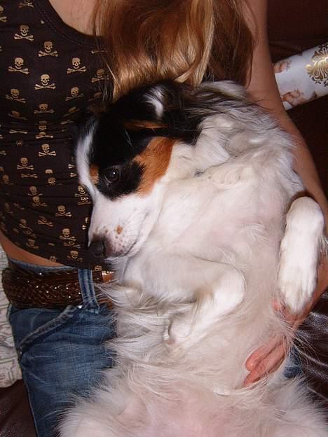 Blanding af racer Mollypigen - Ihhhhh hvor er livet altså dejligt billede 13