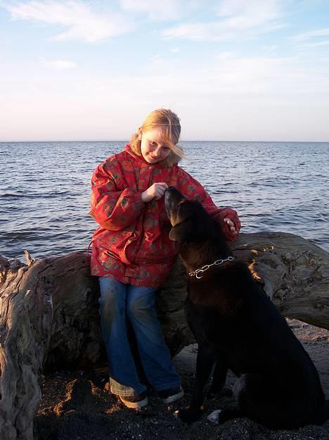 Blanding af racer Balou -aflivet(næsten 16) - Balou og mig til stranden 2007 billede 2