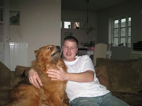 Chow chow Lazie (død 15/2-07) billede 20