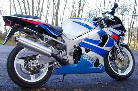 Amerikansk staffordshire terrier ASLAN - Kværnen ;-) billede 14