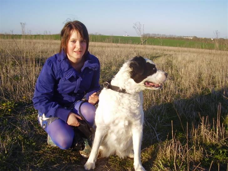 Blanding af racer Emma* himmelhund* - Weeee......en haremis i det fjerne.....slip mig søs *Nyt 13/5-08* billede 19