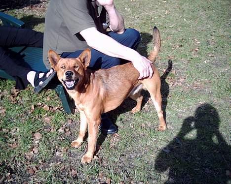 Blanding af racer thor - uuuuuuh ja, bliv ved med at klø john.... :O) billede 11