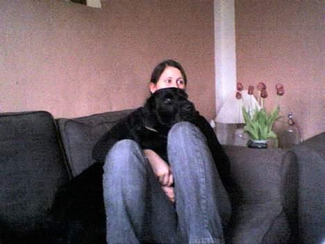 Blanding af racer Rollo<3 billede 5