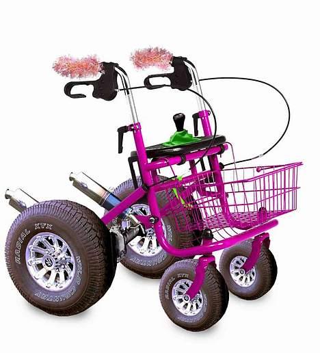 Boxer Equitta billede 20