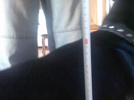 Blanding af racer vimse - 50cm over ryggen... jeg stadig lidt lille.... billede 18