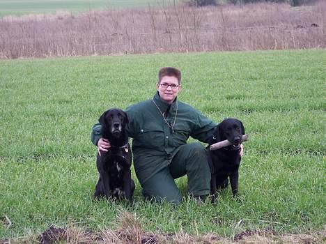 Labrador retriever Nero - Fra højre: Nero - Susan - Balou billede 3