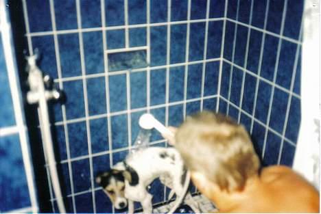 Dansk svensk gaardhund Bob R.I.P. - Det værste Bob viste.. ET BAD.. billede 5