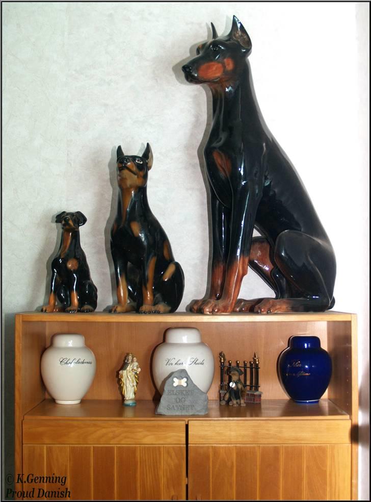 Dobermann Carina Al-Bet R.I.P. - Ronjas, Sheila´s og Thor´s urner, så er 3 kløveret samlet igen........ :o( billede 19