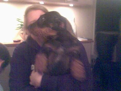 Blanding af racer Chica - Asta, en af chicas legekammirater hos svigerforældrene billede 13