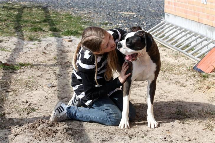 Boxer Ronja - Det må ha været en monster sjov joke...G billede 5