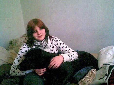 Blanding af racer Rollo billede 3