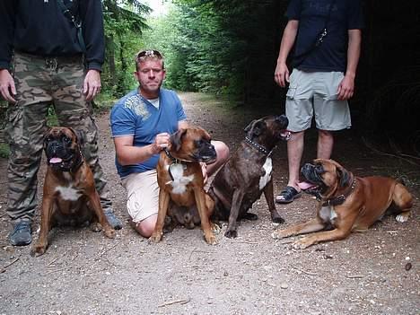 Boxer Odin - Familietræf på min 1 års fødselsdag: min mor, far og bror. billede 19