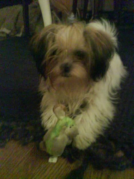 Blanding af racer Betty boop billede 21