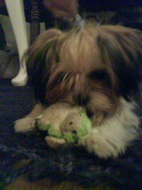 Blanding af racer Betty boop billede 15