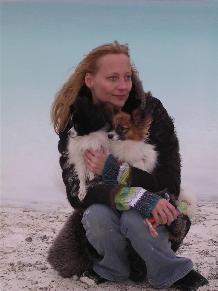 Papillon Toymaker´s Milla Vanilla. billede 6