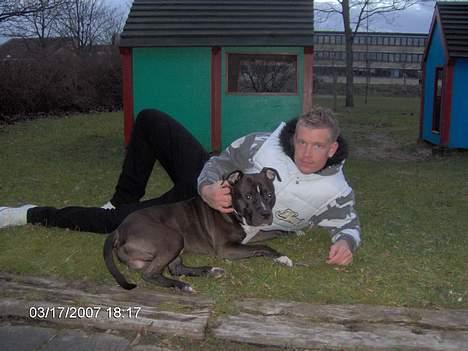 Amerikansk staffordshire terrier Cosmo - Mig og far billede 16