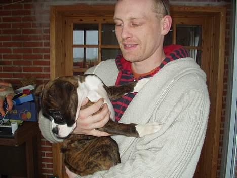 Boxer Shila Cherry - shila og mig da jeg hentede hende billede 1