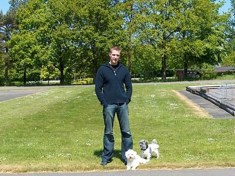 Løwchen Emma / Mille billede 6