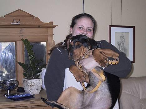 Blanding af racer freja - Freja som hvalp billede 2