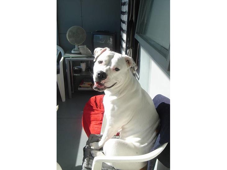 {{currentPhoto.altText}} billede {{currentPhoto.number}}