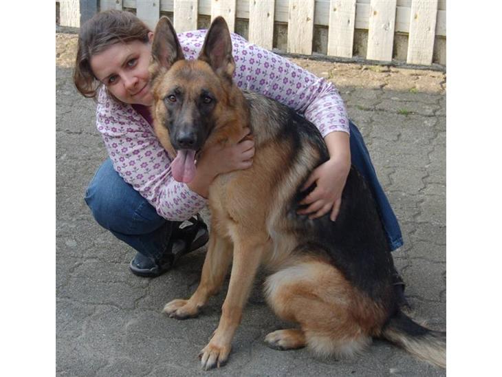 {{currentPhoto.altText}} billede {{currentPhoto.number}}